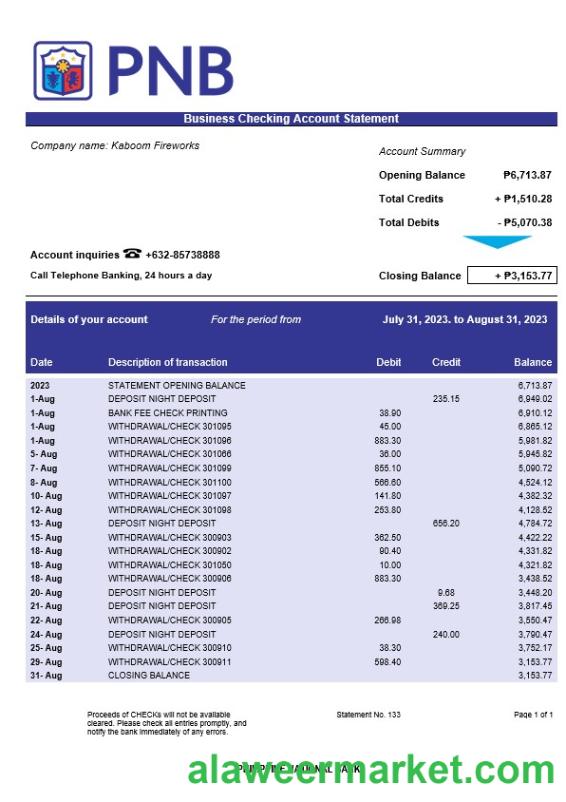 Philippine National Bank Business statement Word and PDF template